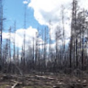 Meet your Posher, Wordy